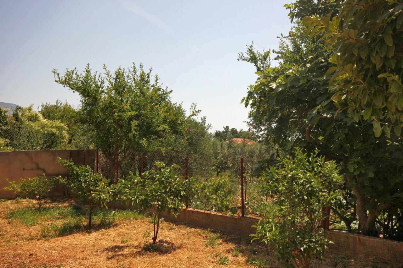 Apartments And Rooms With Parking Space Orebic, Peljesac - 10191 Εξωτερικό φωτογραφία