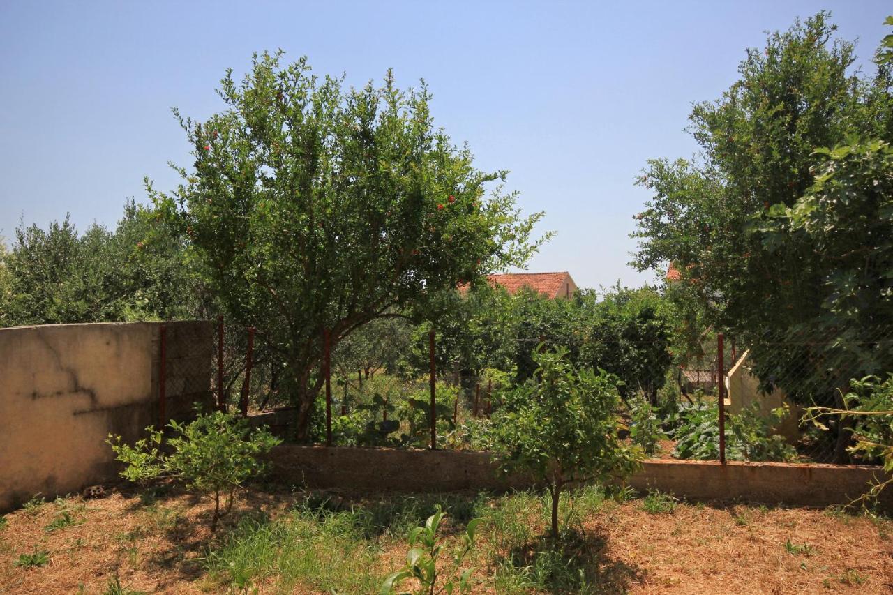 Apartments And Rooms With Parking Space Orebic, Peljesac - 10191 Εξωτερικό φωτογραφία